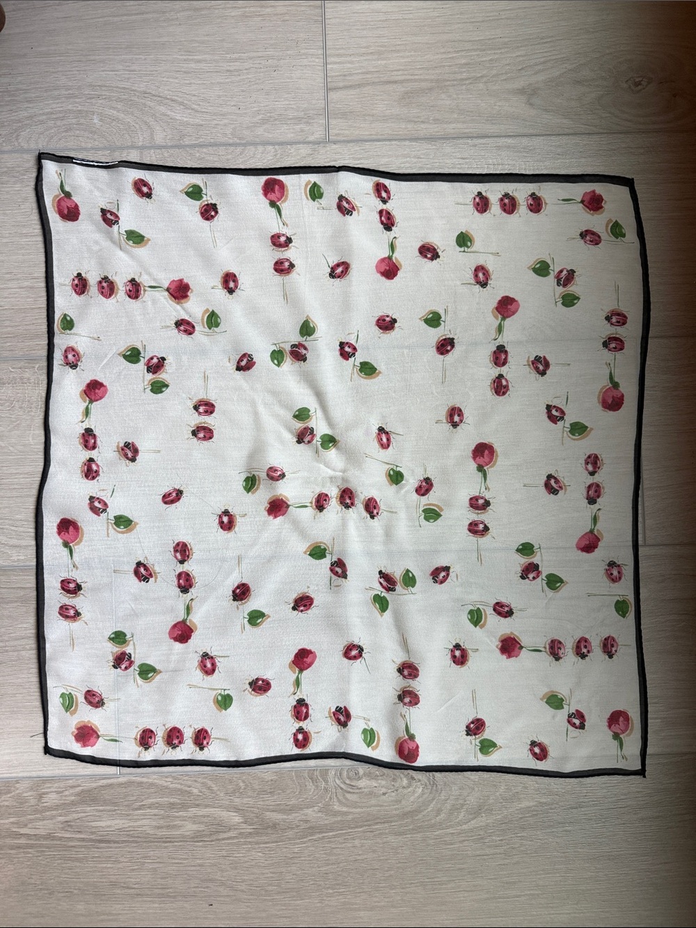 Ladybug / floral print sheer scarf